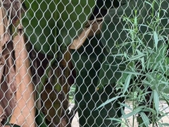 Sieć liny ze stali nierdzewnej sieć metalowa sieć drutowa ferrule sieć zoo strukturę siatki w kształcie diamentu