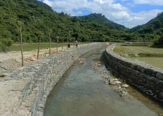 Gabion Mesh (6cm x 8cm) Doskonały do ogrodnictwa i krajobrazu, galwanizowany na gorąco