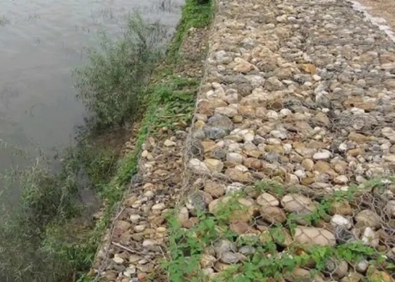 Sześciokątne pudełko gabionowe powlekane szarym PCV o średnicy drutu 2,8 mm