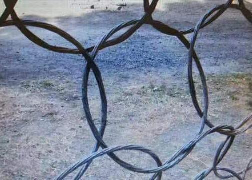 Ochrona od upadków Zoo Rope Mesh Innowacyjne rozwiązanie ring mesh dla projektów kontroli upadków i stabilizacji terenu